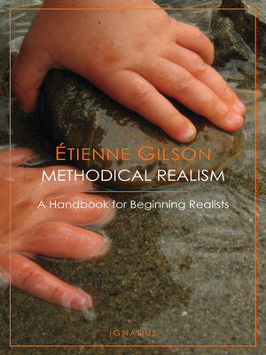 cover image of Methodical Realism